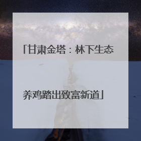 甘肃金塔：林下生态养鸡踏出致富新道